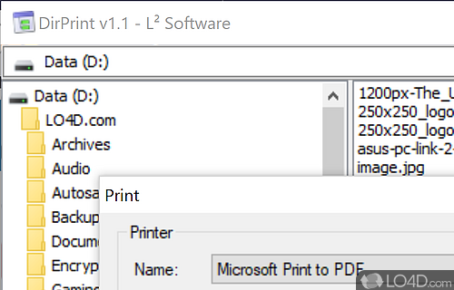 DirPrint Screenshot