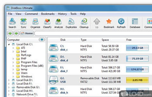 DiskBoss Screenshot