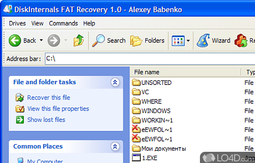 DiskInternals FAT Recovery Screenshot