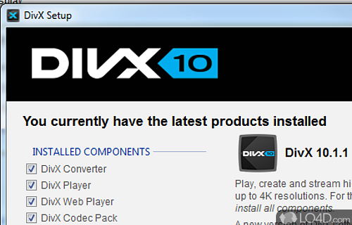 DivX Codec Screenshot