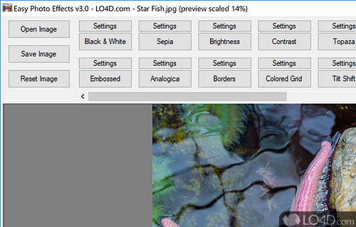Add photo effects with ease - Screenshot of Easy Photo Effects