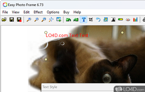 Offers a set of handy editing tools - Screenshot of Easy Photo Frame