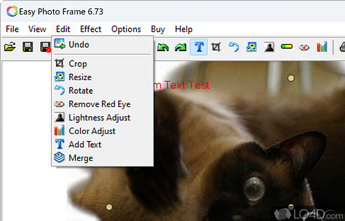 No-nonsense photo framing utility - Screenshot of Easy Photo Frame