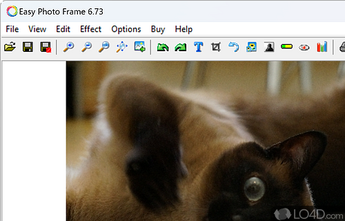 Frame photos, correct potential image issues, insert multiple types of stamps - Screenshot of Easy Photo Frame