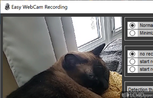 Record or save video from webcam - Screenshot of Easy WebCam Recording