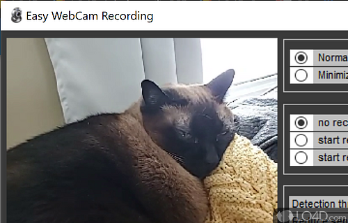 Makes it possible for you to record live streams from webcams - Screenshot of Easy WebCam Recording