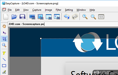 Free full-featured capturing tool - Screenshot of EasyCapture