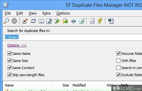 Screenshot of EF Duplicate Files Manager - Find duplicate files based on filters of choice, such as name, size