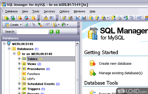 EMS SQL Manager 2007 for MySQL Screenshot