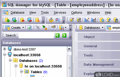 EMS SQL Manager 2007 for MySQL Screenshot