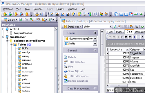 Screenshot of EMS SQL Manager for MySQL - User interface