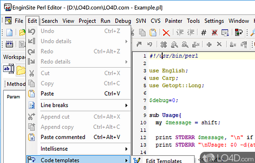 EngInSite Perl Editor Professional screenshot
