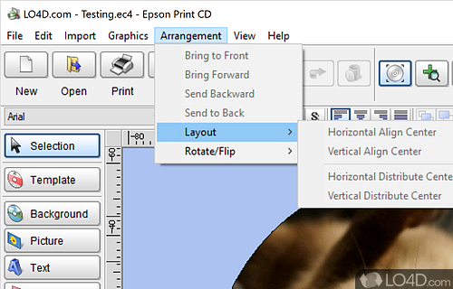 Epson Print CD screenshot