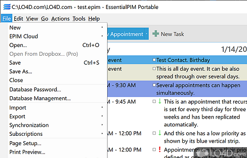 Schedule - Screenshot of EssentialPIM