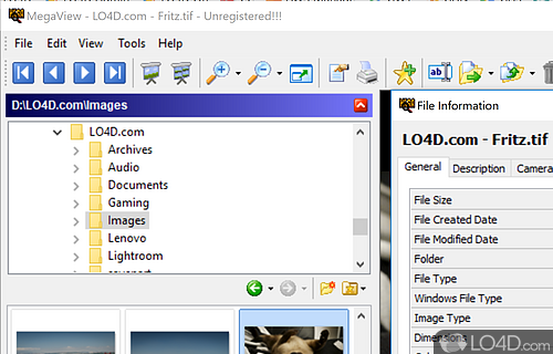 File management tools - Screenshot of MegaView