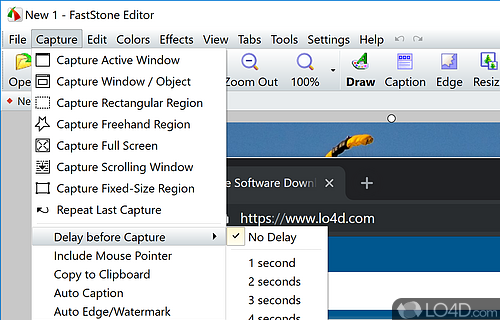 Full-featured screen capture software and screen video recorder - Screenshot of FastStone Capture