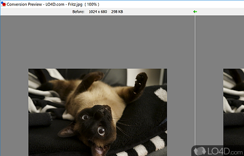 Free Fast and Powerful Image Converter and Resizer - Screenshot of FastStone Photo Resizer
