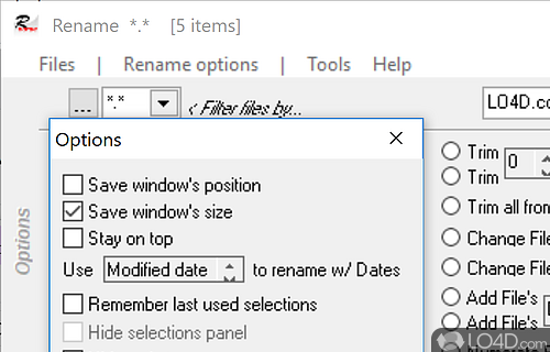 User interface - Screenshot of File Renamer