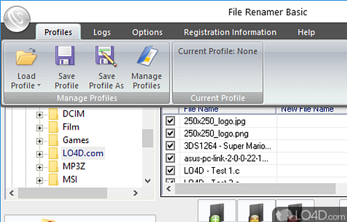 User interface - Screenshot of File Renamer Basic