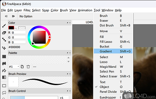 Easy-to-use image editor for Windows PCs - Screenshot of FireAlpaca