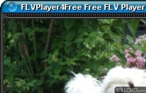 FLVPlayer4Free Screenshot