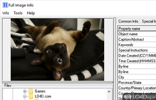 Full Image Info screenshot