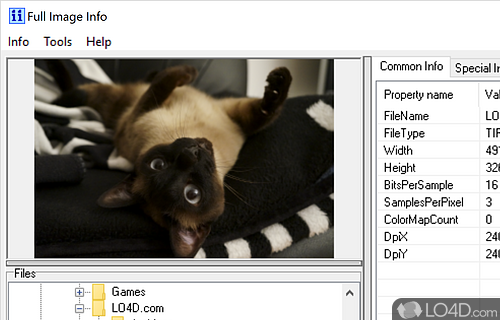 Quickly view the width / height, total number of bits, ColorMap array entries - Screenshot of Full Image Info