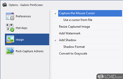 A final assessment - Screenshot of Gadwin PrintScreen
