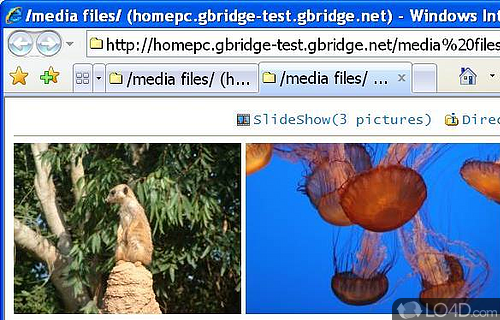 GBridge Screenshot