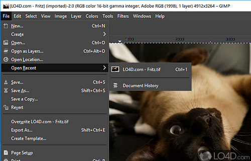 The setup process and customizable interface - Screenshot of GIMP