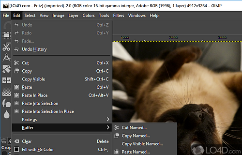 A free and easy-to-use image editing tool - Screenshot of GIMP