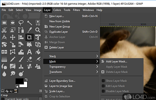 Open-source image editor - Screenshot of GIMP