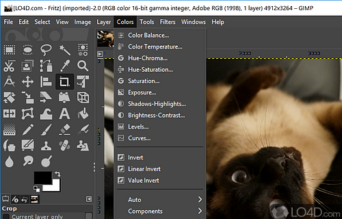 Features a user-friendly interface - Screenshot of GIMP