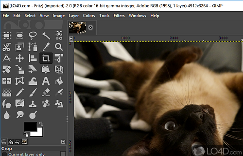 Open-source app, short for GNU Image Manipulation Program - Screenshot of GIMP
