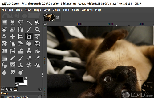 GIMP for Windows Screenshot