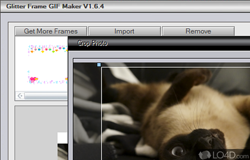 Glitter Frame GIF Maker Screenshot