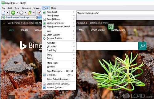 Configuration settings - Screenshot of GreenBrowser