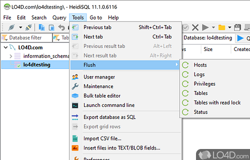 MariaDB, MySQL, MSSQL and PostgreSQL made easy - Screenshot of HeidiSQL