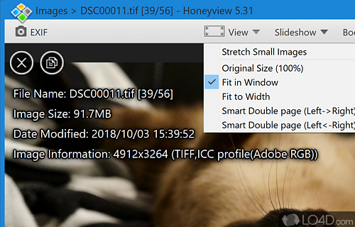 Doesn’t slow down - Screenshot of HoneyView