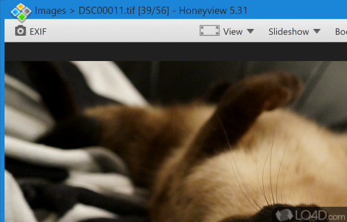 Using this app view images as a slideshow with various effects between slides - Screenshot of HoneyView