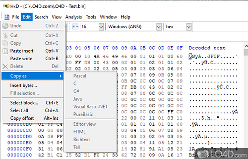 Edit hexadecimal code with the help of this light - Screenshot of HxD