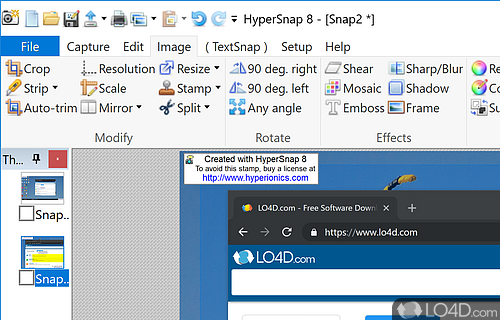 Snapshot types - Screenshot of HyperSnap
