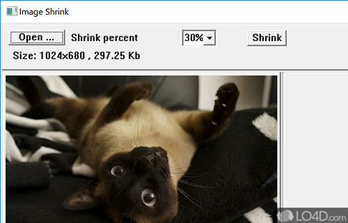 Screenshot of Image Shrink - Resize JPEG images by percentage, preview the original