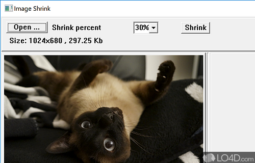 Image Shrink Screenshot