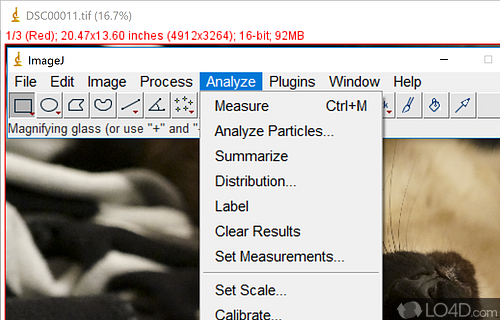 Cross platform image editor - Screenshot of ImageJ