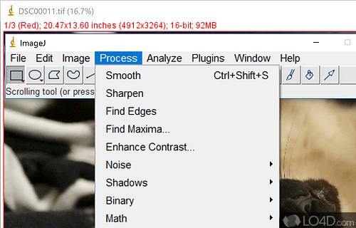Scriptable Java app for scientific image processing - Screenshot of ImageJ