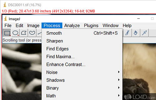 ImageJ Screenshot