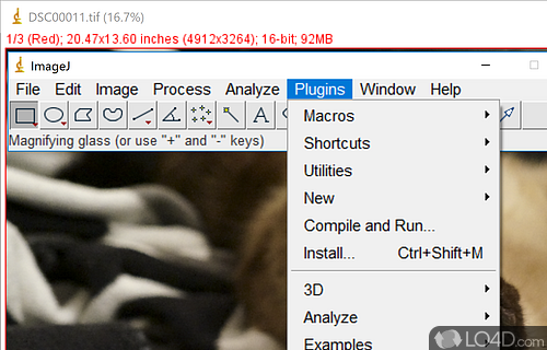 Images - Screenshot of ImageJ