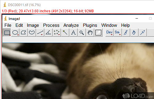 Process and enhance pictures with this streamlined and Java-based image editor that supports the most common image formats - Screenshot of ImageJ