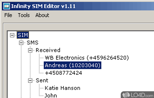 Screenshot of Infinity SIM Editor - User interface